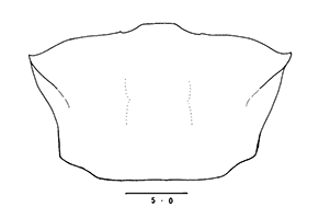 Uca sindensis thumbnail