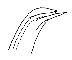 Uca maracoani insignis thumbnail