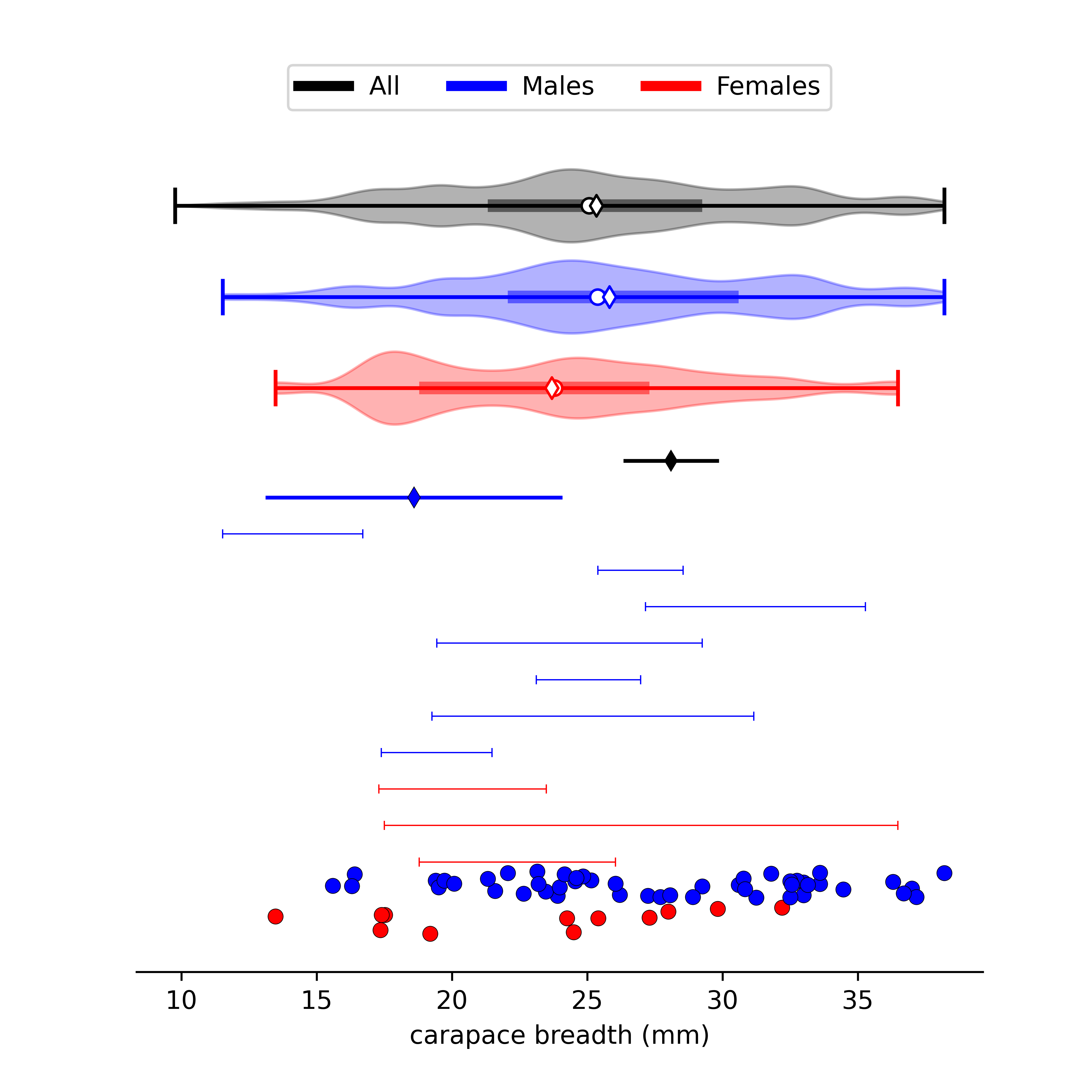 size data for Tubuca arcuata