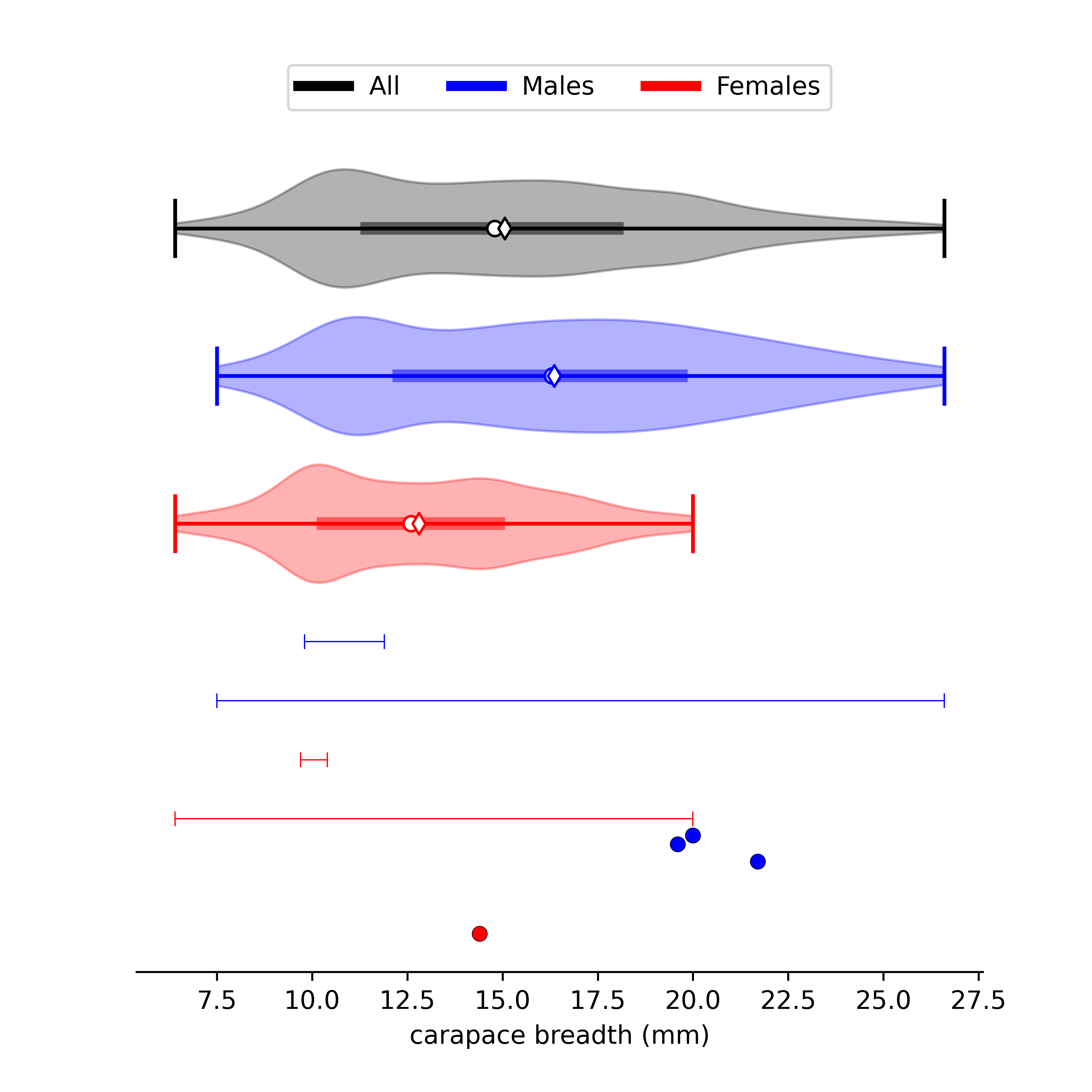 size data for Tubuca elegans