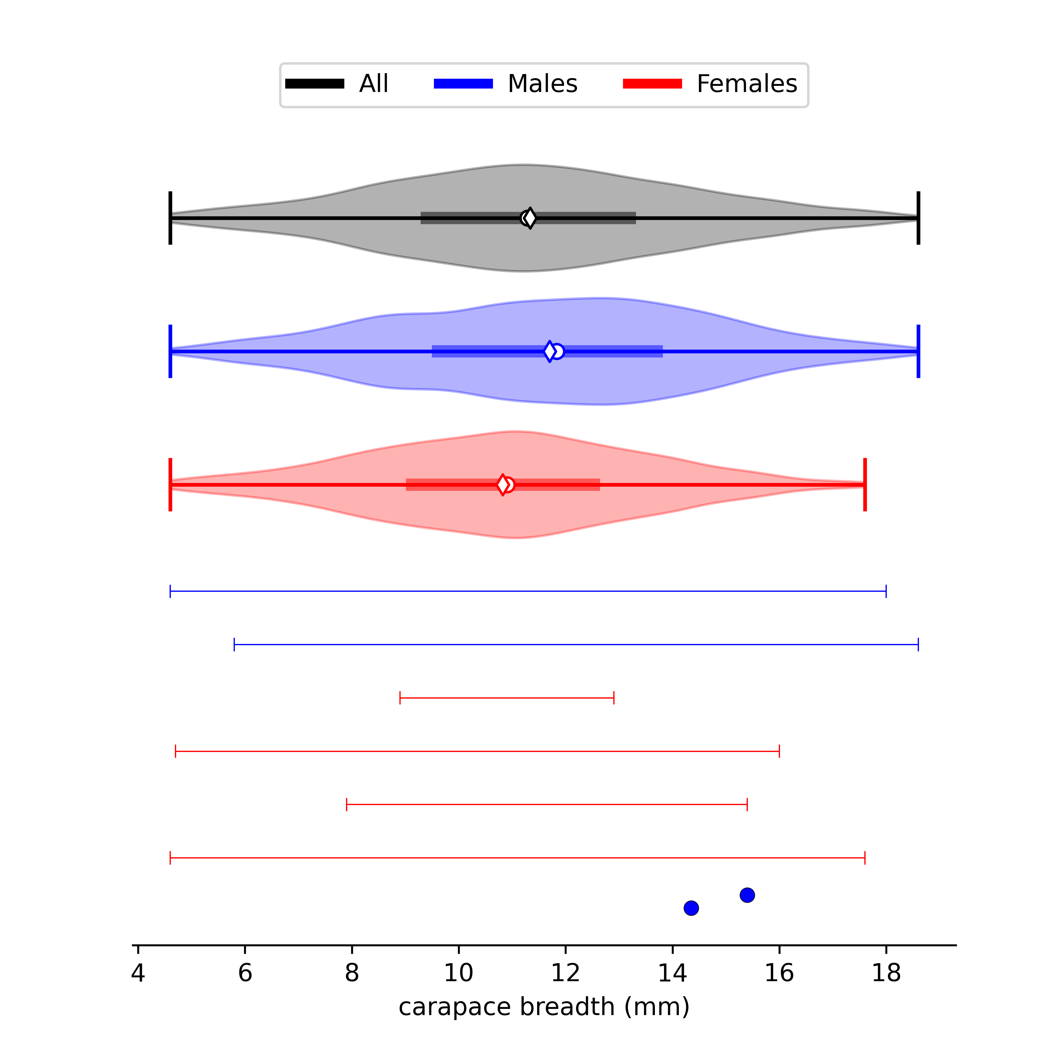 size data for Tubuca hirsutimanus